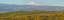 Picture of USA-WASHINGTON STATE PANORAMA OF COLUMBIA RIVER GORGE COVERED IN ARROWLEAF BALSAMROOT