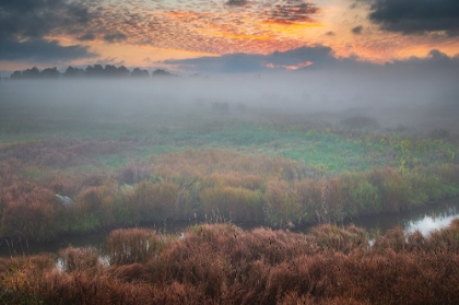 Picture of USA-WEST VIRGINIA-DAVIS FOG OVER STREAM IN VALLEY AT SUNRISE
