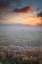 Picture of USA-WEST VIRGINIA-DAVIS FOG OVER STREAM IN VALLEY AT SUNRISE