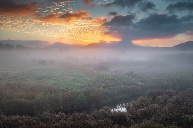 Picture of USA-WEST VIRGINIA-DAVIS FOG OVER STREAM IN VALLEY AT SUNRISE