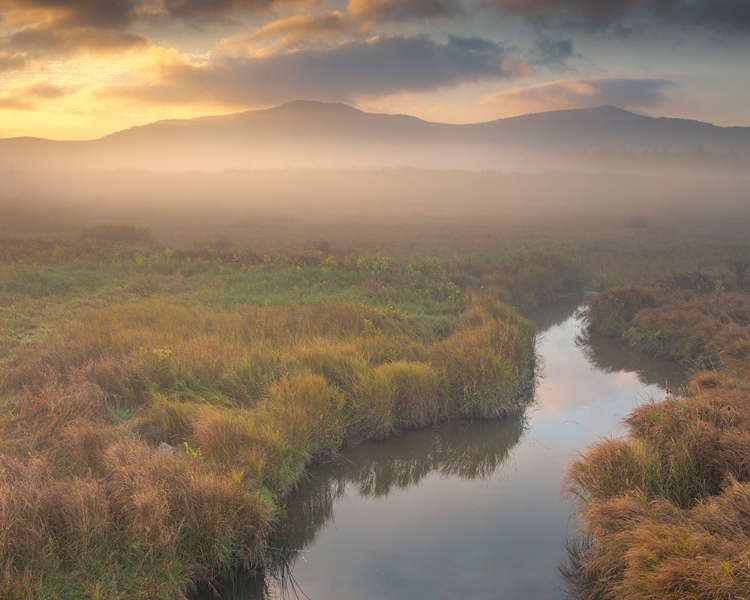 Picture of USA-WEST VIRGINIA-DAVIS FOG OVER STREAM IN VALLEY AT SUNRISE