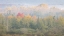 Picture of USA-WEST VIRGINIA-DAVIS FOGGY FOREST IN FALL COLORS