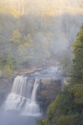 Picture of USA-WEST VIRGINIA-DAVIS OVERVIEW OF WATERFALL IN BLACKWATER STATE PARK