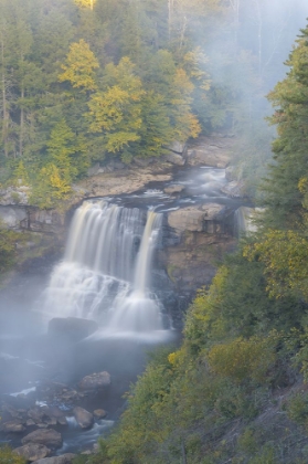 Picture of USA-WEST VIRGINIA-DAVIS OVERVIEW OF WATERFALL IN BLACKWATER STATE PARK