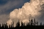 Picture of TREES SILHOUETTED AGAINST CUMULUS CLOUD-YELLOWSTONE NATIONAL PARK-WYOMING