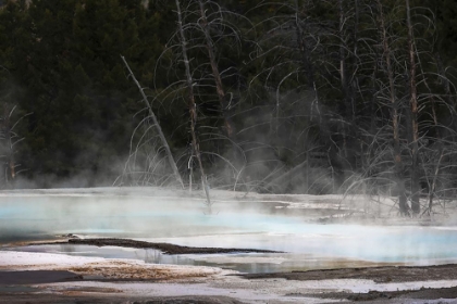 Picture of COLORFUL HOT SPRING ON TOP OF CANARY SPRING-MAMMOTH HOT SPRINGS-YELLOWSTONE NATIONAL PARK-WYOMING