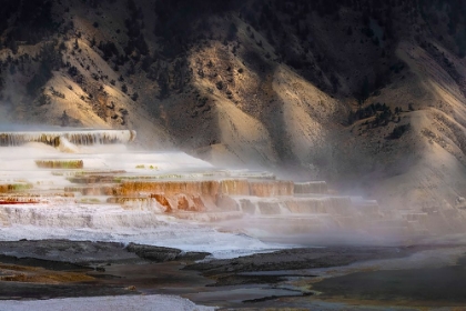 Picture of COLORFUL TERRACE-CANARY SPRING-MAMMOTH HOT SPRINGS-YELLOWSTONE NATIONAL PARK-WYOMING