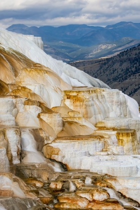 Picture of COLORFUL TERRACE-CANARY SPRING-MAMMOTH HOT SPRINGS-YELLOWSTONE NATIONAL PARK-WYOMING