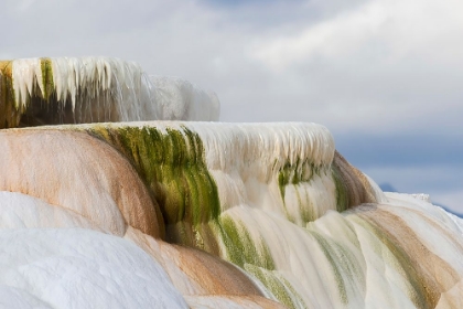 Picture of COLORFUL TERRACE-CANARY SPRING-MAMMOTH HOT SPRINGS-YELLOWSTONE NATIONAL PARK-WYOMING