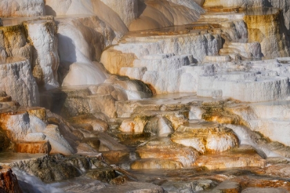 Picture of COLORFUL TERRACE-CANARY SPRING-MAMMOTH HOT SPRINGS-YELLOWSTONE NATIONAL PARK-WYOMING