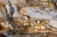 Picture of COLORFUL TERRACE-CANARY SPRING-MAMMOTH HOT SPRINGS-YELLOWSTONE NATIONAL PARK-WYOMING