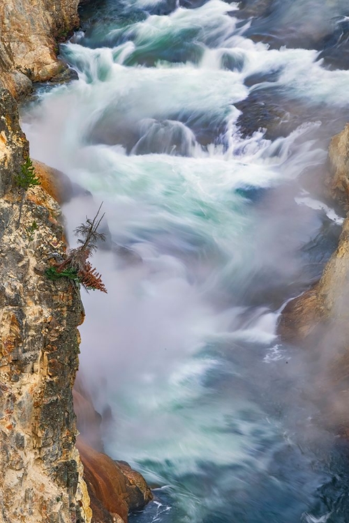 Picture of YELLOWSTONE RIVER AT SUNRISE FROM ARTIST POINT-YELLOWSTONE NATIONAL PARK-WYOMING