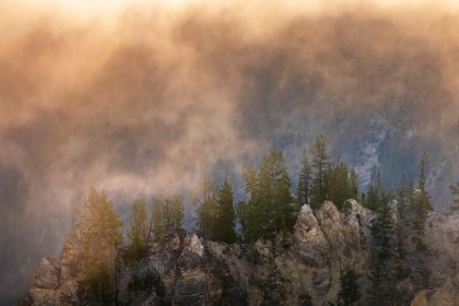 Picture of VIEW FROM ARTIST POINT AT SUNRISE-GRAND CANYON OF YELLOWSTONE-YELLOWSTONE NATIONAL PARK-WYOMING