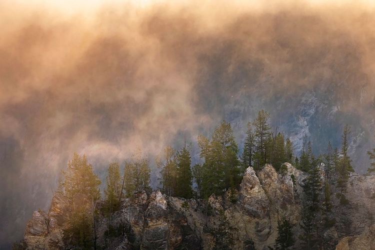 Picture of VIEW FROM ARTIST POINT AT SUNRISE-GRAND CANYON OF YELLOWSTONE-YELLOWSTONE NATIONAL PARK-WYOMING