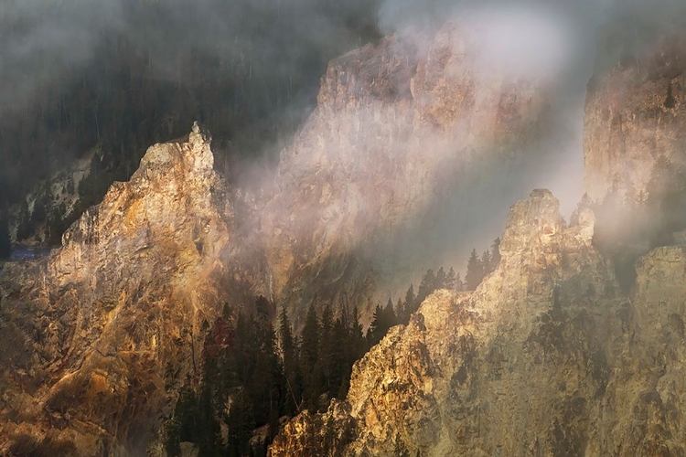 Picture of VIEW FROM ARTIST POINT AT SUNRISE-GRAND CANYON OF YELLOWSTONE-YELLOWSTONE NATIONAL PARK-WYOMING