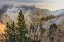 Picture of VIEW FROM ARTIST POINT AT SUNRISE-GRAND CANYON OF YELLOWSTONE-YELLOWSTONE NATIONAL PARK-WYOMING