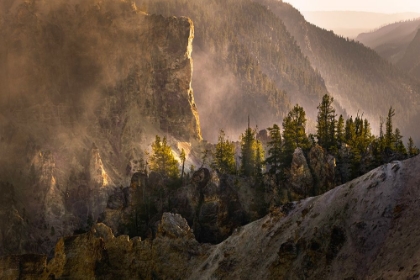 Picture of VIEW FROM ARTIST POINT AT SUNRISE-GRAND CANYON OF YELLOWSTONE-YELLOWSTONE NATIONAL PARK-WYOMING