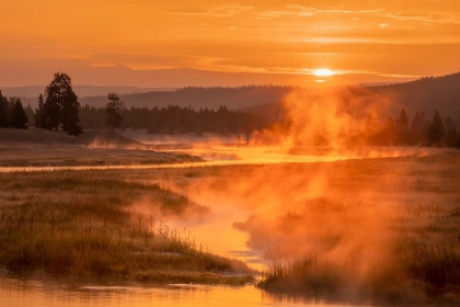 Picture of MADISON RIVER AT SUNRISE-YELLOWSTONE NATIONAL PARK-WYOMING