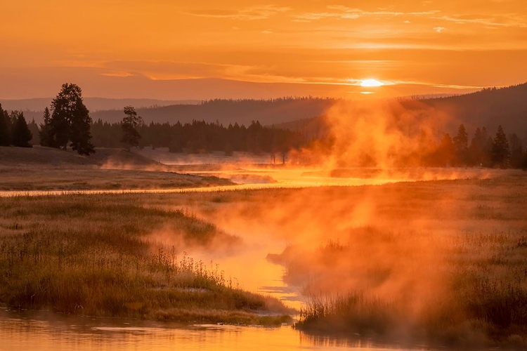 Picture of MADISON RIVER AT SUNRISE-YELLOWSTONE NATIONAL PARK-WYOMING
