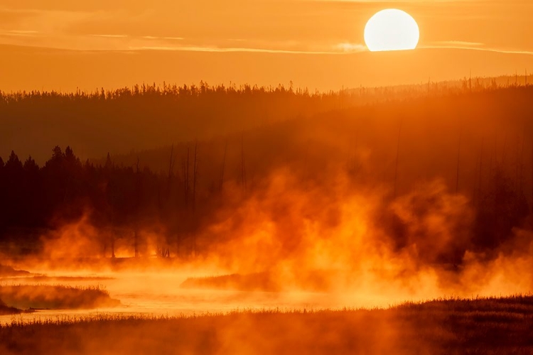 Picture of MADISON RIVER AT SUNRISE-YELLOWSTONE NATIONAL PARK-WYOMING