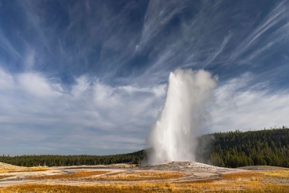 Picture of OLD FAITHFUL GEYSER ERUPTING-A CONE GEYSER IN THE UPPER GEYSER BASIN