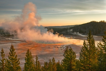 Picture of ELEVATED SUNRISE VIEW OF GRAND PRISMATIC SPRING AND COLORFUL BACTERIAL MAT-YELLOWSTONE NATIONAL PARK