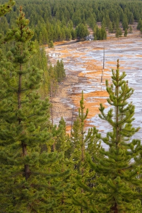 Picture of ELEVATED VIEW OF RUNOFF WATER AND BACTERIAL MAT-GRAND PRISMATIC SPRING