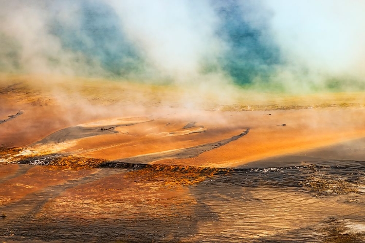 Picture of ELEVATED VIEW OF GRAND PRISMATIC SPRING AND COLORFUL BACTERIAL MAT-YELLOWSTONE NATIONAL PARK