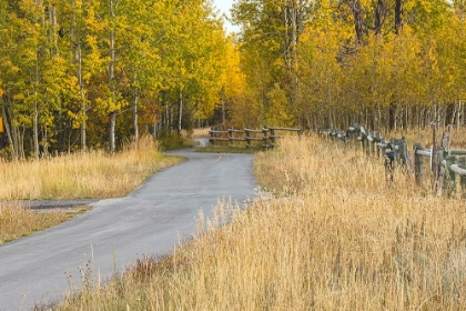 Picture of BIKE PATH IN AUTUMN-GRAND TETON NATIONAL PARK-WYOMING