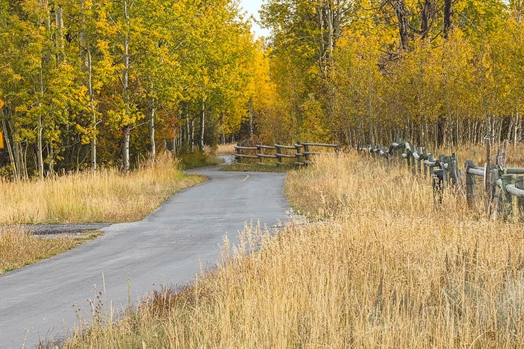 Picture of BIKE PATH IN AUTUMN-GRAND TETON NATIONAL PARK-WYOMING