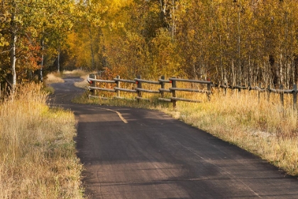 Picture of BIKE PATH IN AUTUMN-GRAND TETON NATIONAL PARK-WYOMING