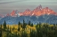 Picture of AUTUMN VIEW OF TETON RANGE AT SUNRISE-GRAND TETON NATIONAL PARK-WYOMING