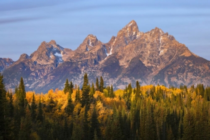 Picture of AUTUMN VIEW OF TETON RANGE AT SUNRISE-GRAND TETON NATIONAL PARK-WYOMING