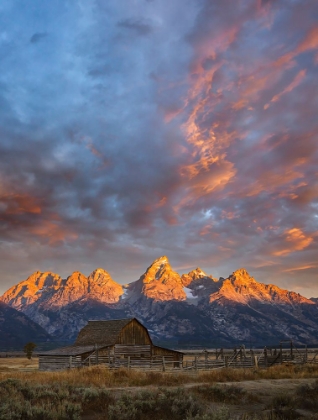 Picture of HISTORICAL MOULTON BARN AT SUNRISE-GRAND TETON NATIONAL PARK-WYOMING