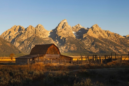 Picture of HISTORICAL MOULTON BARN AT SUNRISE-GRAND TETON NATIONAL PARK-WYOMING