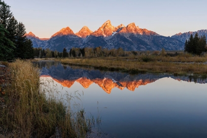 Picture of TETON RANGE REFLECTED IN SNAKE RIVER FROM SCHWABACHER LANDING-GRAND TETON NATIONAL PARK-WYOMING