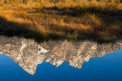 Picture of TETON RANGE REFLECTED IN SNAKE RIVER FROM SCHWABACHER LANDING-GRAND TETON NATIONAL PARK-WYOMING