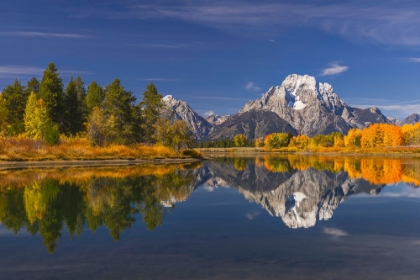 Picture of AUTUMN VIEW OF MOUNT MORAN AND SNAKE RIVER-GRAND TETON NATIONAL PARK-WYOMING