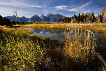 Picture of TETON RANGE FROM SCHWABACHER LANDING-GRAND TETON NATIONAL PARK-WYOMING