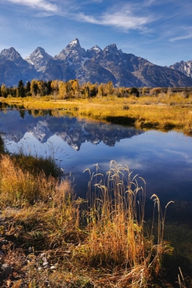 Picture of TETON RANGE FROM SCHWABACHER LANDING-GRAND TETON NATIONAL PARK-WYOMING