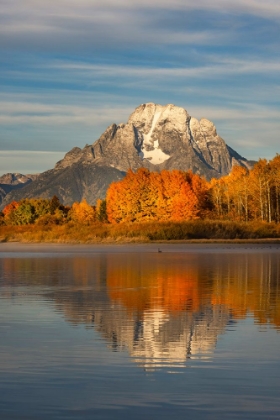 Picture of AUTUMN VIEW OF MOUNT MORAN AND SNAKE RIVER-GRAND TETON NATIONAL PARK-WYOMING