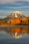 Picture of AUTUMN VIEW OF MOUNT MORAN AND SNAKE RIVER-GRAND TETON NATIONAL PARK-WYOMING