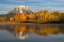 Picture of AUTUMN VIEW OF MOUNT MORAN AND SNAKE RIVER-GRAND TETON NATIONAL PARK-WYOMING