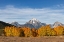 Picture of AUTUMN VIEW OF MOUNT MORAN AND SNAKE RIVER-GRAND TETON NATIONAL PARK-WYOMING
