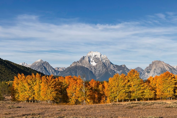 Picture of AUTUMN VIEW OF MOUNT MORAN AND SNAKE RIVER-GRAND TETON NATIONAL PARK-WYOMING