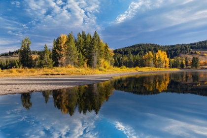 Picture of TRANQUIL AUTUMN SCENE ALONG SNAKE RIVER-GRAND TETON NATIONAL PARK-WYOMING
