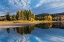 Picture of TRANQUIL AUTUMN SCENE ALONG SNAKE RIVER-GRAND TETON NATIONAL PARK-WYOMING