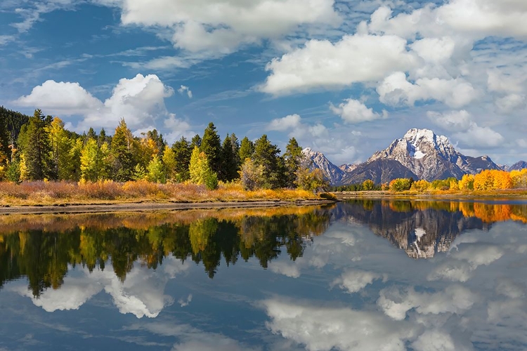 Picture of AUTUMN VIEW OF MOUNT MORAN AND SNAKE RIVER-GRAND TETON NATIONAL PARK-WYOMING