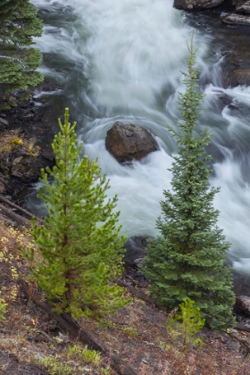 Picture of FLOWING WATER IN FIREHOLE RIVER-YELLOWSTONE NATIONAL PARK-WYOMING