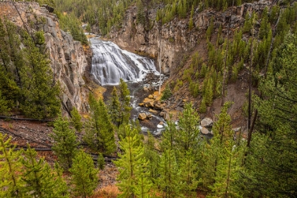 Picture of GIBBON FALLS-YELLOWSTONE NATIONAL PARK-WYOMING